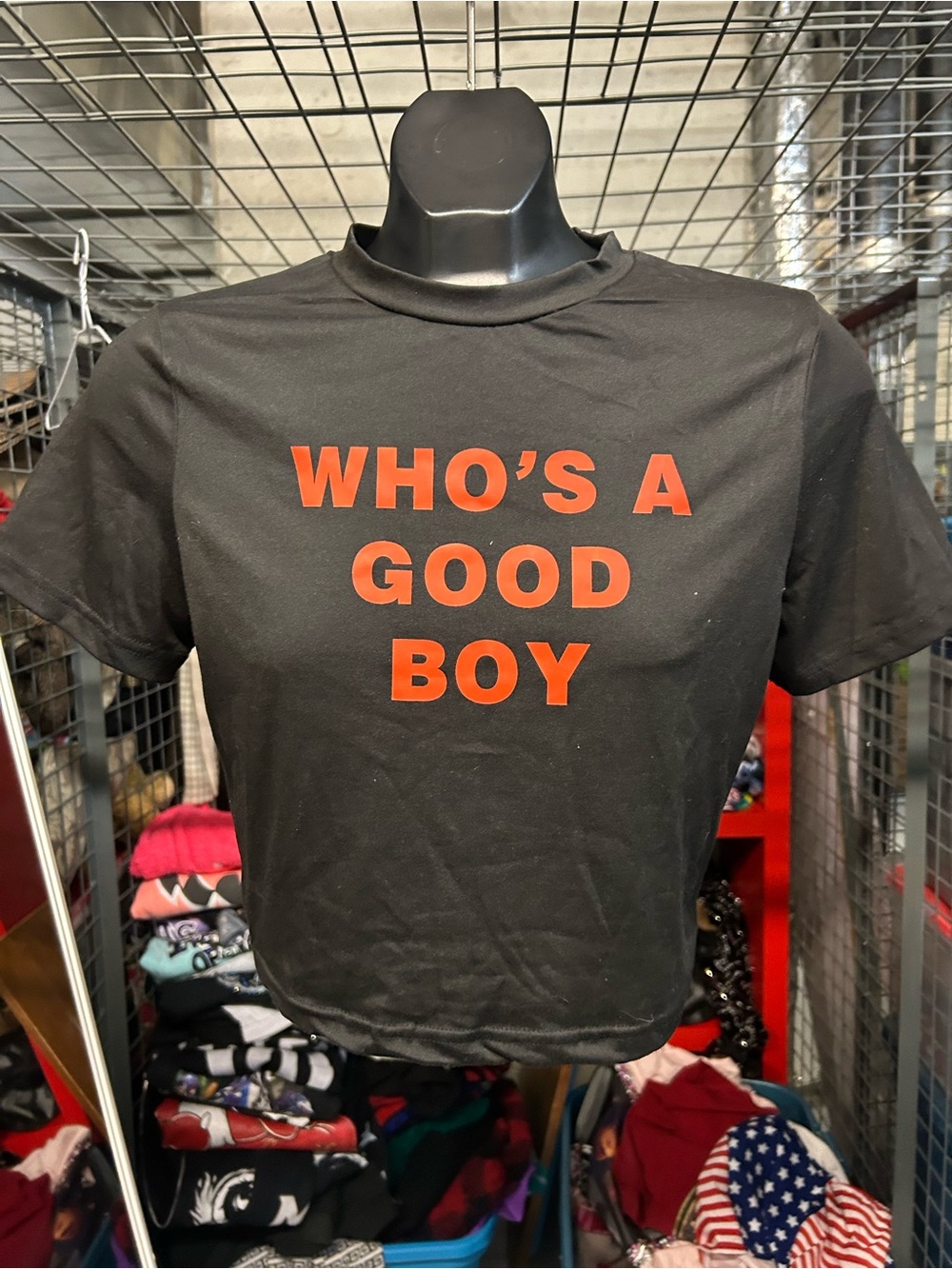 New Graphic Tee with Red Text - "Who's A Good Boy" novelty Tease Crop shirt